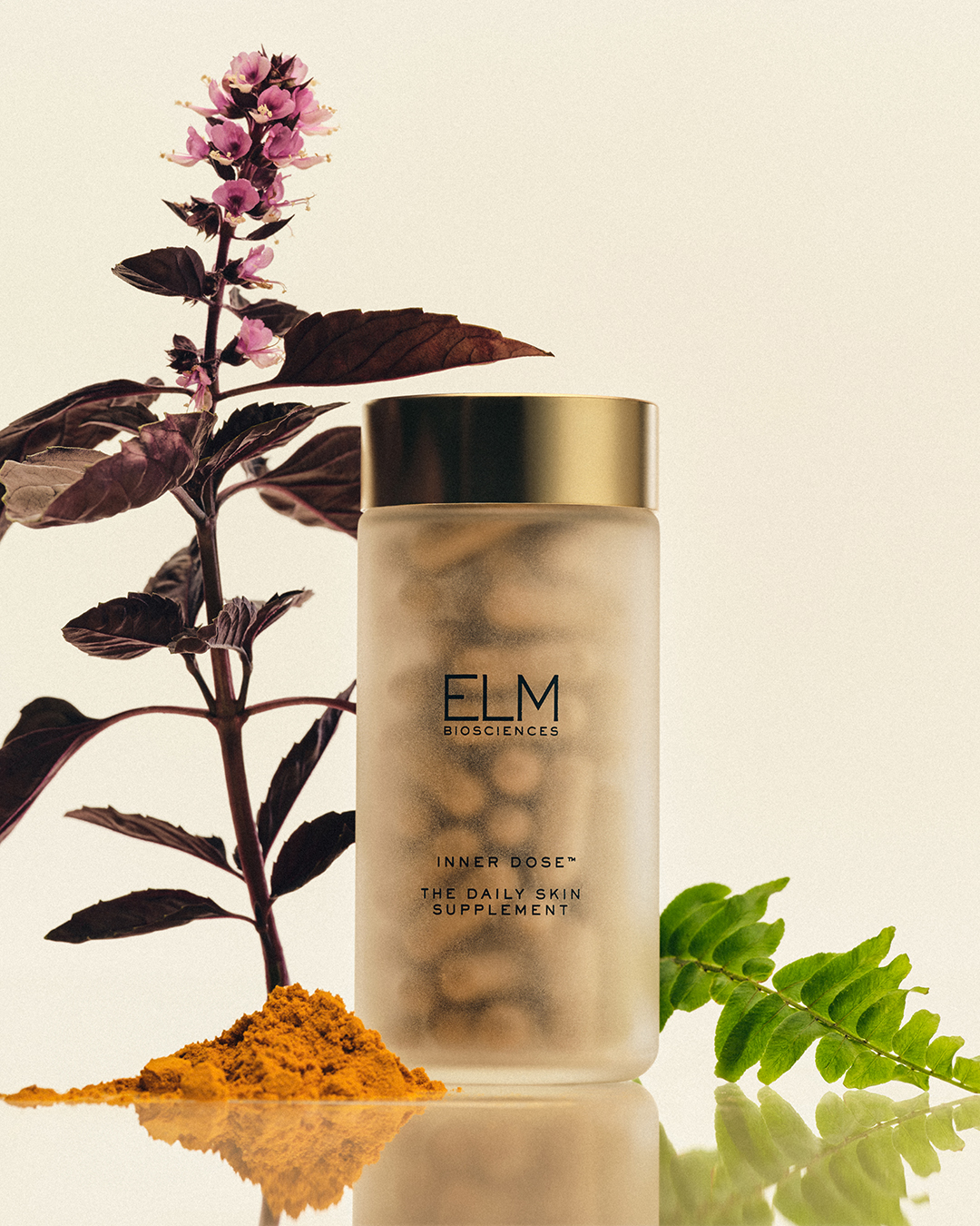 20250627_elm_02_0049_Crop