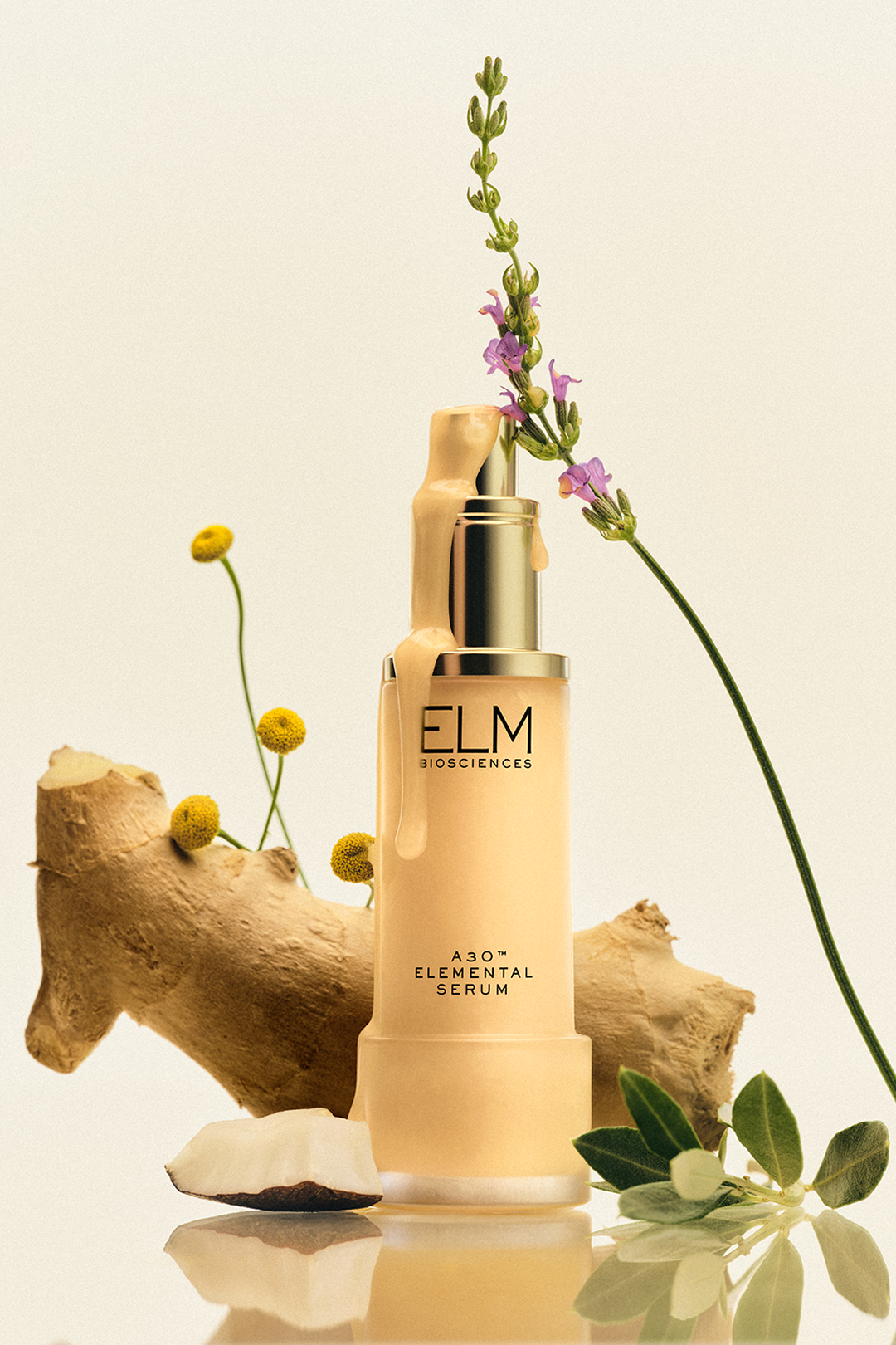 20250627_elm_04_0066