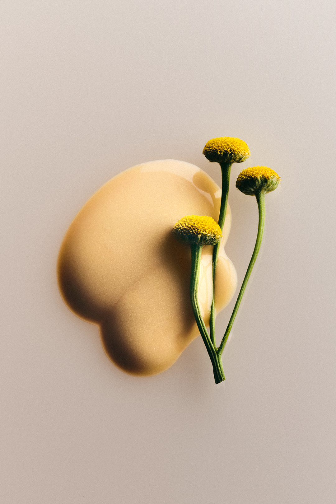 20250627_elm_12_0082